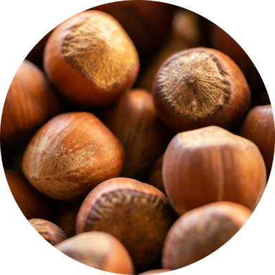 noisette
