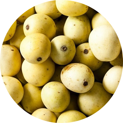 marula