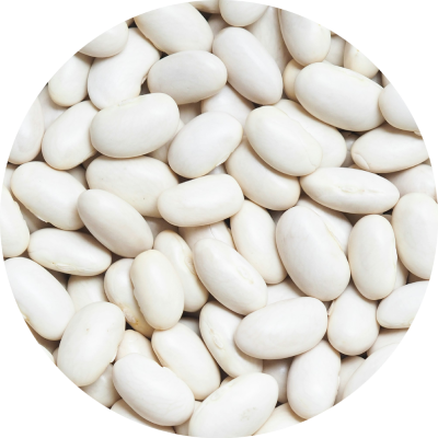 proteine-de-soie